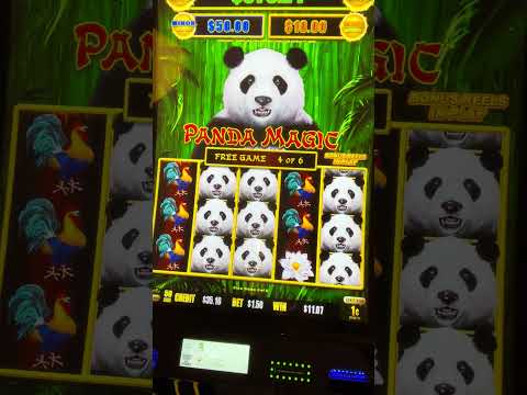 Exploring the Thrills of Casino Spinpanda UK Exploring the Thrills of Casino Spinpanda UK