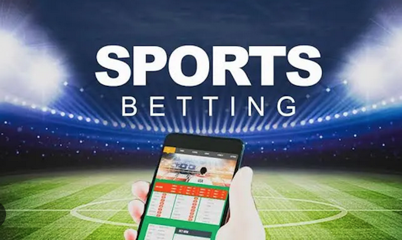 Explorez le monde des paris sportifs avec Betwinner