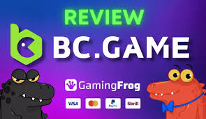Exploring the Exciting World of BC Fun
