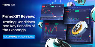 Experience the Thrills of Live Trading on PrimeXBT